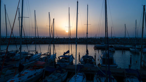 Sailboats in marina at sunset