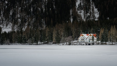 People skiing on snow covered field