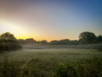 Scenic view of field against sky during foggy weather