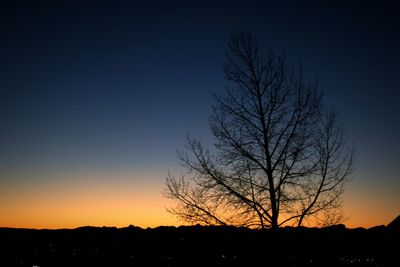 Silhouette bare tree against clear sky at sunset