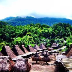 Houses in a village