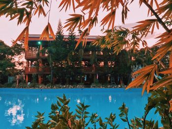 Palm trees by swimming pool against sky