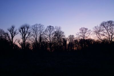 Silhouette trees against sky during sunset