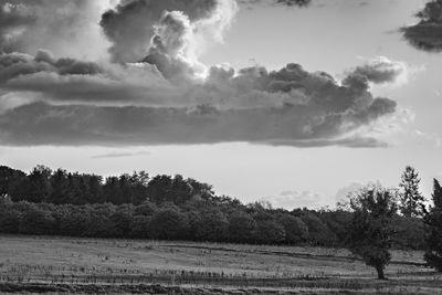 Scenic view of field against sky