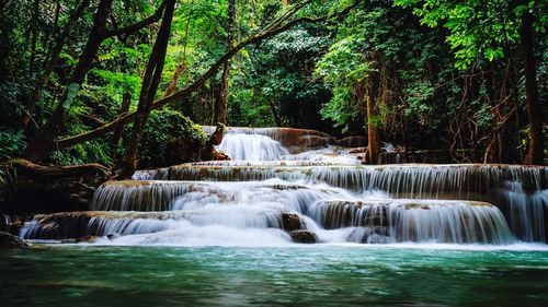 Scenic view of waterfall in forest