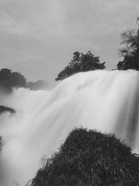 Low angle view of trees on mountain against sky