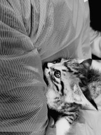 Portrait of person with cat on bed