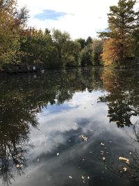 Scenic view of lake in forest against sky