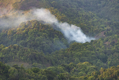 High angle view of waterfall in forest