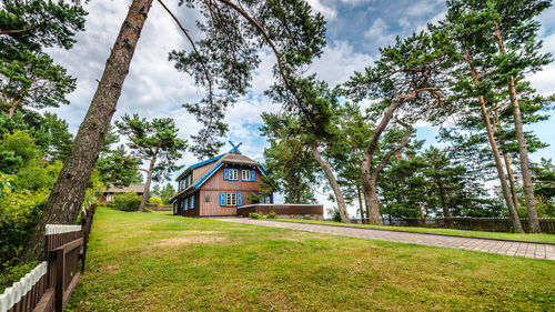 Trees and houses on field against sky