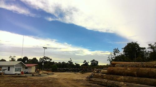 Trees against sky