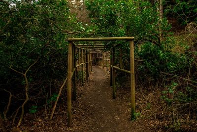 Old wooden structure in forest