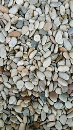 Full frame shot of pebbles