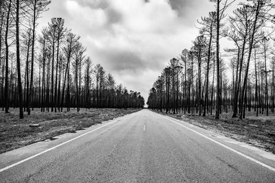 Road amidst trees against sky