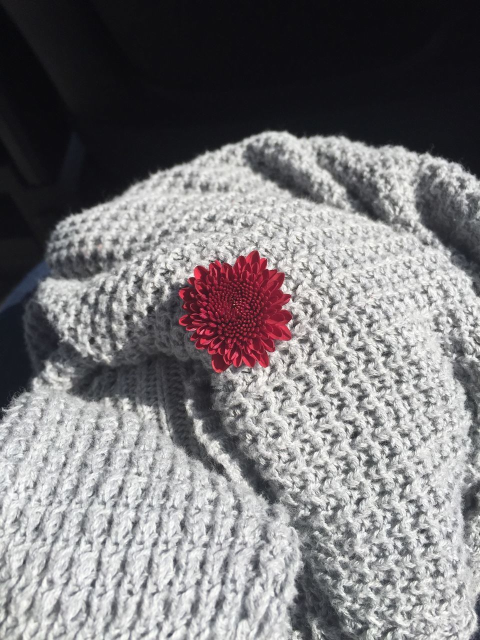 red, close-up, flower, petal, white color, snow, indoors, winter, fragility, softness, high angle view, beauty in nature, fabric, flower head, no people, selective focus, nature, focus on foreground, cold temperature, textile