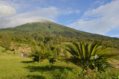 Scenic view of landscape against sky