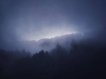 Silhouette trees in forest against sky during foggy weather