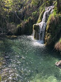 Water flowing through rocks in forest