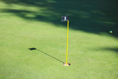 Green ball on golf course