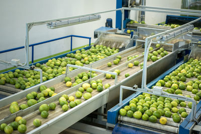 Fruits for sale at market stall