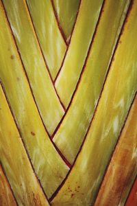 Full frame shot of wood