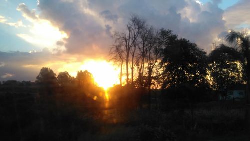 Silhouette trees against sky during sunset