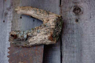 Close-up of old rusty metal door