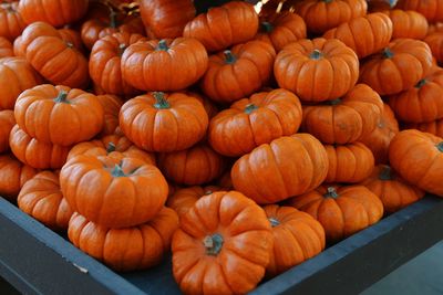 High angle view of pumpkins for sale at market stall