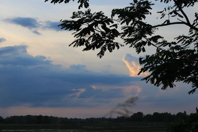 Silhouette trees against sky during sunset