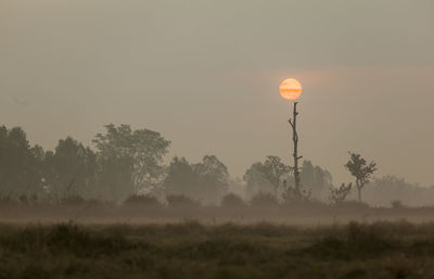 Scenic view of field against sky during sunset