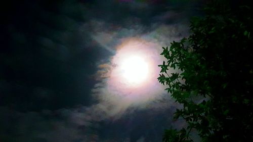 Low angle view of trees against sky