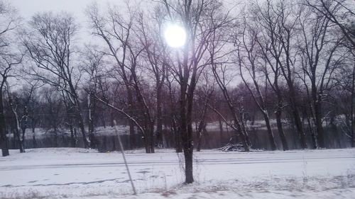 Trees on snow covered field against sky
