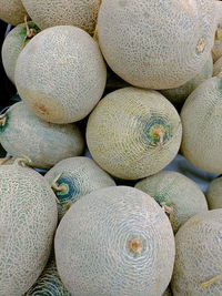 cantaloupe