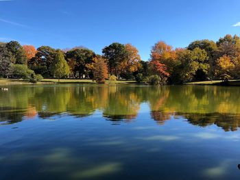 reflection