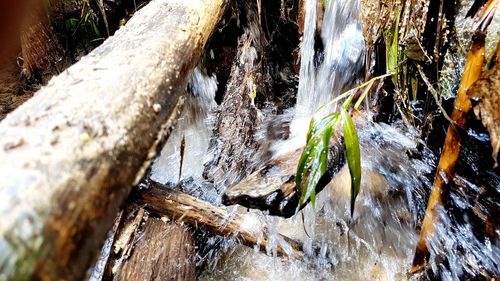 Close-up of water flowing through rocks