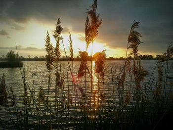 Scenic view of lake at sunset