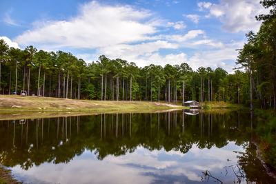 Reflection of trees in lake against sky