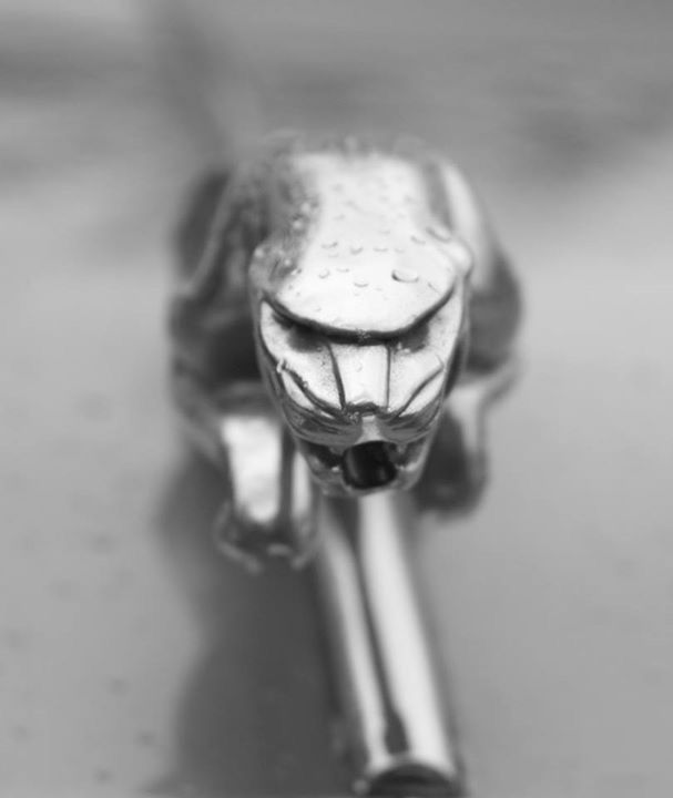 close-up, focus on foreground, indoors, selective focus, glass - material, still life, transparent, metal, no people, single object, reflection, drop, water, day, table, wet, glass, food and drink, bottle