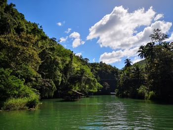 Scenic view of river by trees against sky