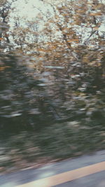 blurred motion