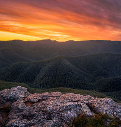 Beautiful mount bushwalker