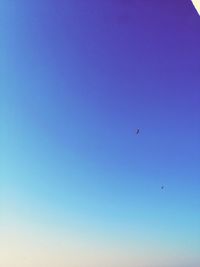 Low angle view of birds flying in sky