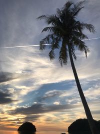 Low angle view of silhouette coconut palm tree against sky during sunset