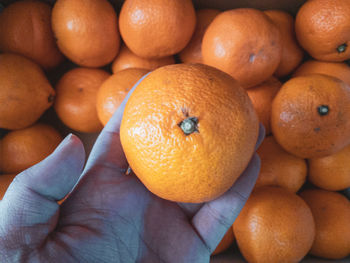 High angle view of orange fruit in market