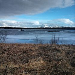 Scenic view of landscape against cloudy sky