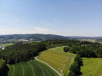 Scenic view of agricultural field against sky