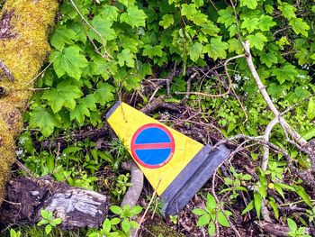 Road sign by plants