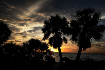 Silhouette palm trees on beach against sky at sunset