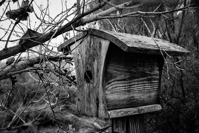 Wooden structure on tree trunk