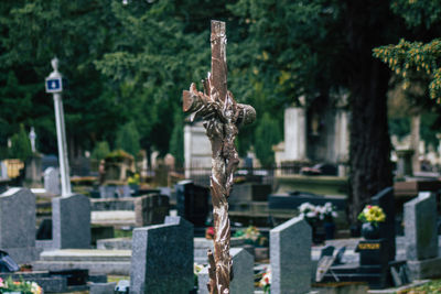 View of cross in cemetery